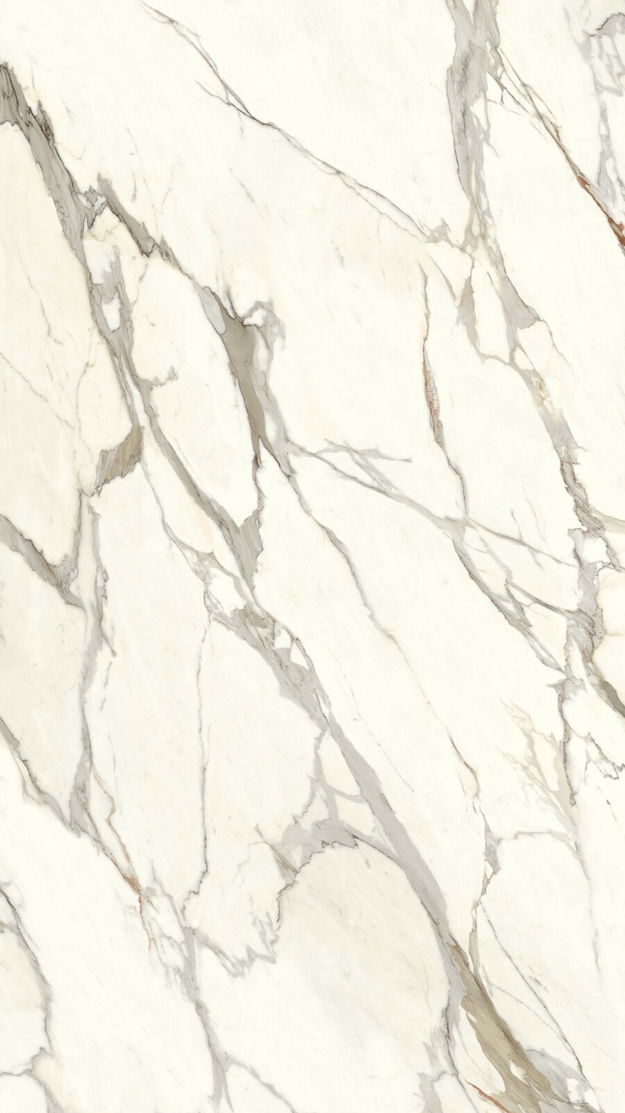 Bloc 081050